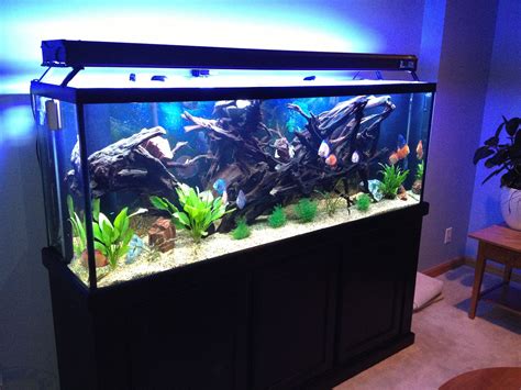 5" x 12". . 150 gallon fish tanks